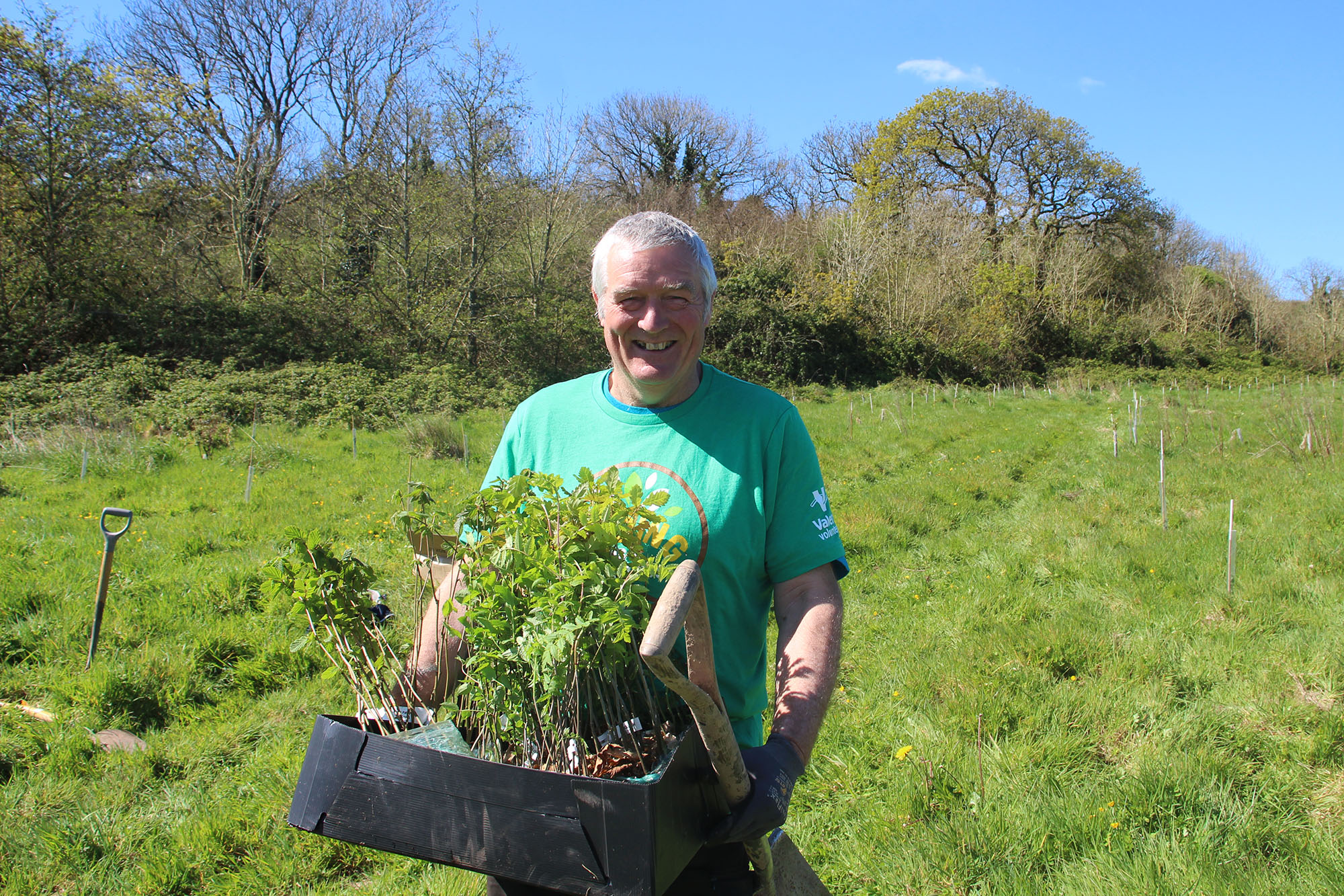 Volunteer in Pembroke