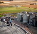 yd7610 Albert City Ethanol Plant