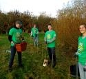 Pembroke_tree_planting_volunteers