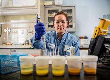 yd7610 Renewables employee in ethanol lab